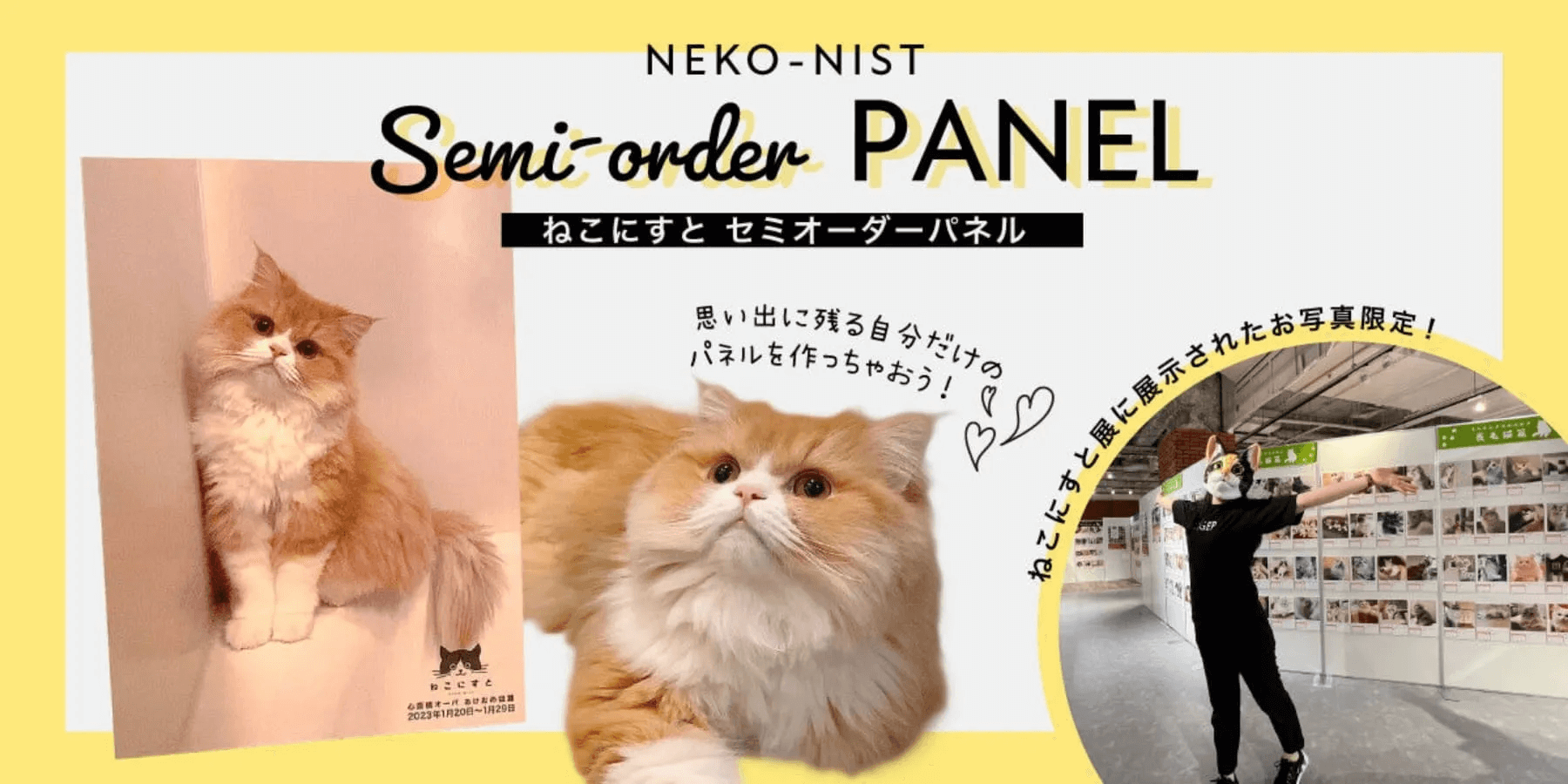 ねこにすとSHOP | ねこにすとSHOP